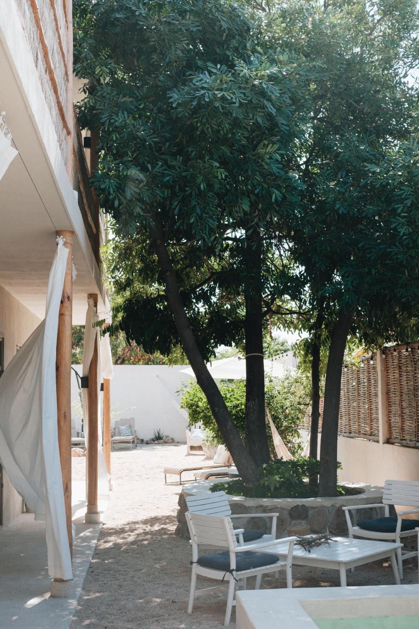 The Mantarraya Outpost Bed & Breakfast La Paz Exterior foto