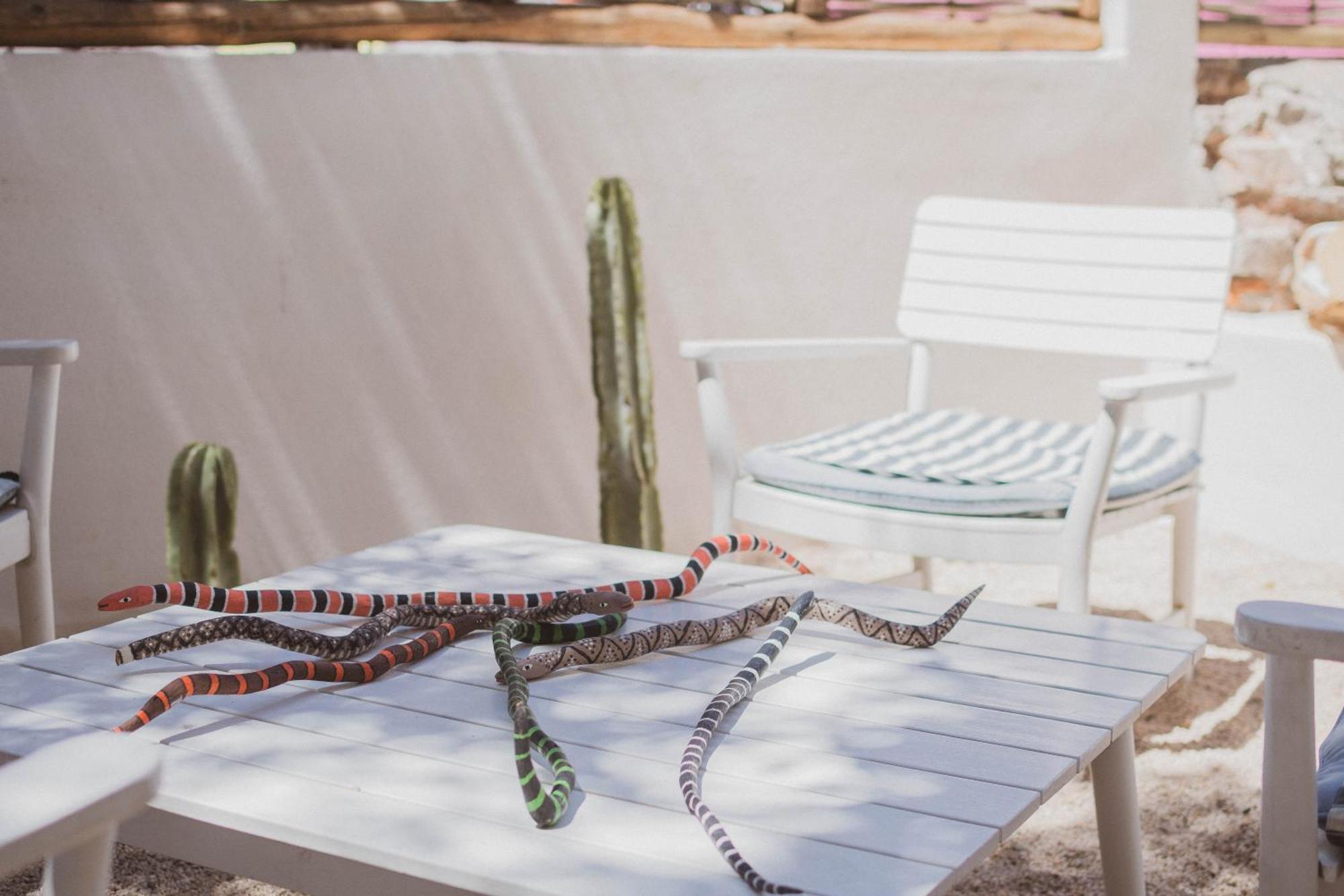 The Mantarraya Outpost Bed & Breakfast La Paz Exterior foto