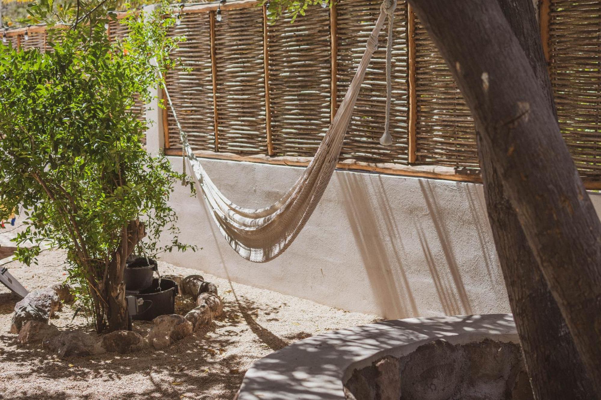 The Mantarraya Outpost Bed & Breakfast La Paz Exterior foto